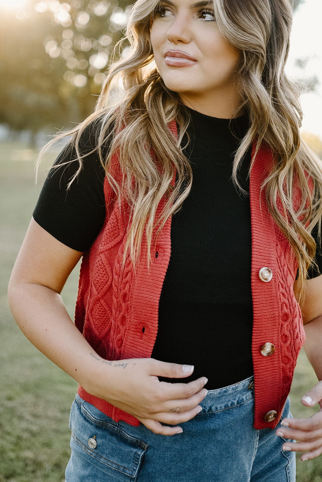 brick sweater vest button front