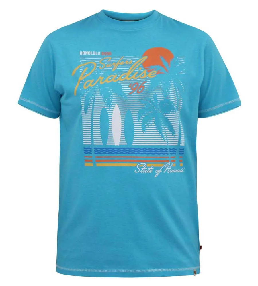 D555 Big Mens Surfers Paradise Printed T-Shirt Aaron